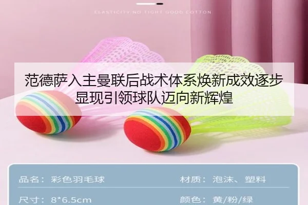 范德萨入主曼联后战术体系焕新成效逐步显现引领球队迈向新辉煌