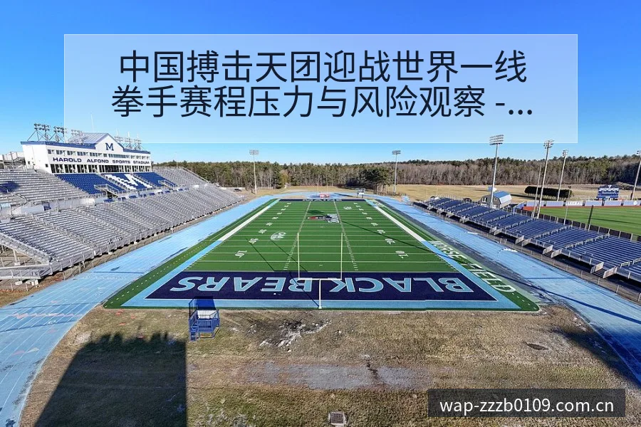 中国搏击天团迎战世界一线拳手赛程压力与风险观察 - 蜘蛛直播
